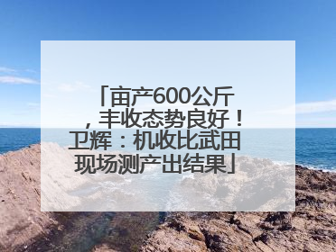 亩产600公斤，丰收态势良好！卫辉：机收比武田现场测产出结果
