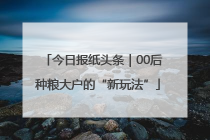 今日报纸头条｜00后种粮大户的“新玩法”