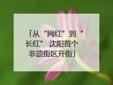 从“网红”到“长红” 沈阳首个非遗街区开街