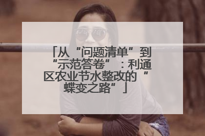 从“问题清单”到“示范答卷”：利通区农业节水整改的“蝶变之路”