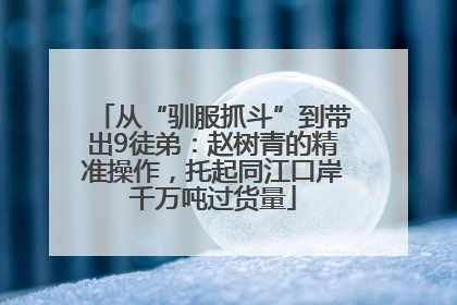 从“驯服抓斗”到带出9徒弟：赵树青的精准操作，托起同江口岸千万吨过货量