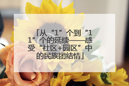 从“1”个到“11”个的延续——感受“社区+园区”中的民族团结情