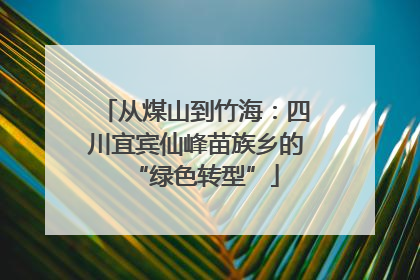 从煤山到竹海：四川宜宾仙峰苗族乡的“绿色转型”