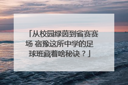 从校园绿茵到省赛赛场 宿豫这所中学的足球班藏着啥秘诀？