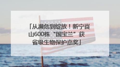 从濒危到绽放！新宁崀山600株“国宝兰”获省级生物保护嘉奖