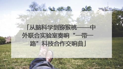 从脑科学到猕猴桃——中外联合实验室奏响“一带一路”科技合作交响曲