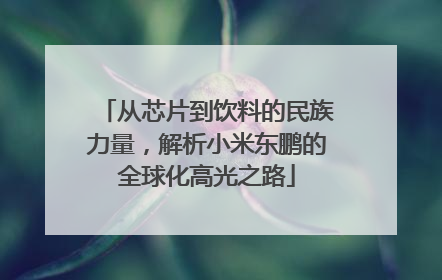 从芯片到饮料的民族力量，解析小米东鹏的全球化高光之路