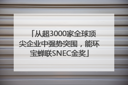 从超3000家全球顶尖企业中强势突围，能环宝蝉联SNEC金奖