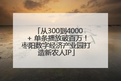 从300到4000+ 单条播放破百万！枣阳数字经济产业园打造新农人IP