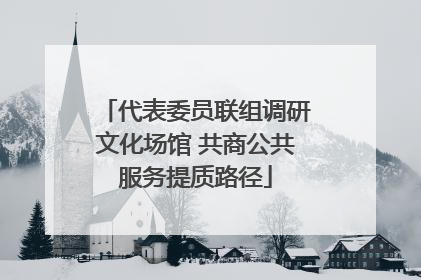 代表委员联组调研文化场馆 共商公共服务提质路径