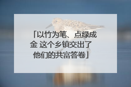 以竹为笔、点绿成金 这个乡镇交出了他们的共富答卷