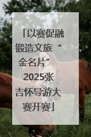 以赛促融锻造文旅“金名片” 2025张吉怀导游大赛开赛