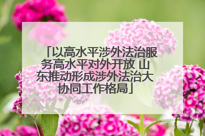 以高水平涉外法治服务高水平对外开放 山东推动形成涉外法治大协同工作格局