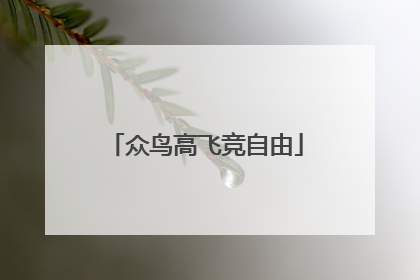 众鸟高飞竞自由
