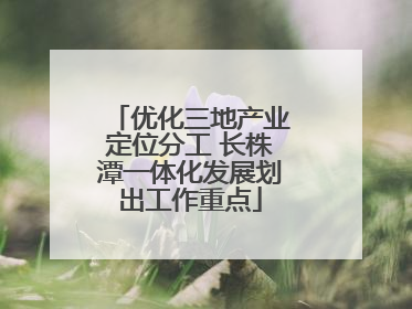优化三地产业定位分工 长株潭一体化发展划出工作重点