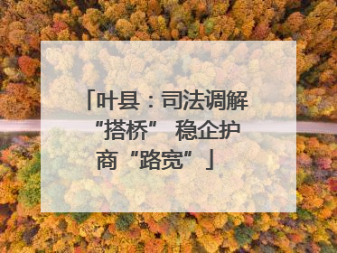 叶县：司法调解“搭桥” 稳企护商“路宽”