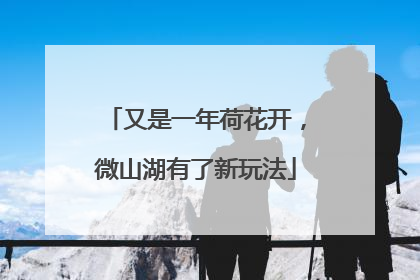 又是一年荷花开，微山湖有了新玩法