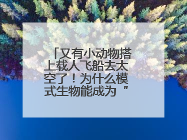 又有小动物搭上载人飞船去太空了！为什么模式生物能成为“探索代表”？
