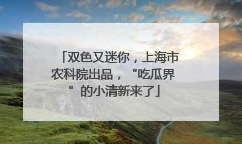 双色又迷你，上海市农科院出品，“吃瓜界”的小清新来了