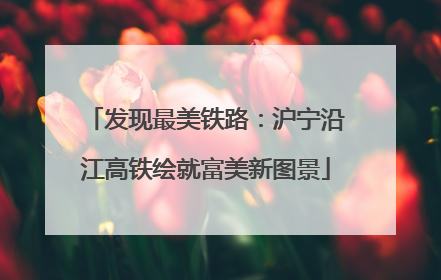 发现最美铁路：沪宁沿江高铁绘就富美新图景