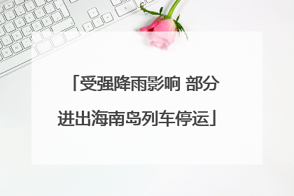 受强降雨影响 部分进出海南岛列车停运