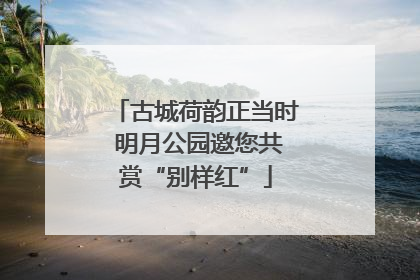 古城荷韵正当时 明月公园邀您共赏“别样红”