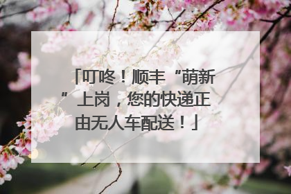 叮咚！顺丰“萌新”上岗，您的快递正由无人车配送！