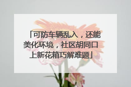 可防车辆乱入，还能美化环境，社区胡同口上新花箱巧解难题