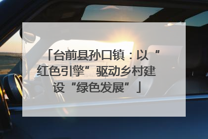 台前县孙口镇：以“红色引擎”驱动乡村建设“绿色发展”