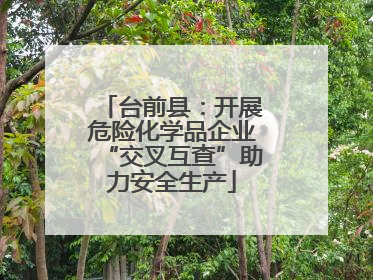 台前县：开展危险化学品企业“交叉互查”助力安全生产