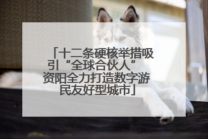 十二条硬核举措吸引“全球合伙人” 资阳全力打造数字游民友好型城市