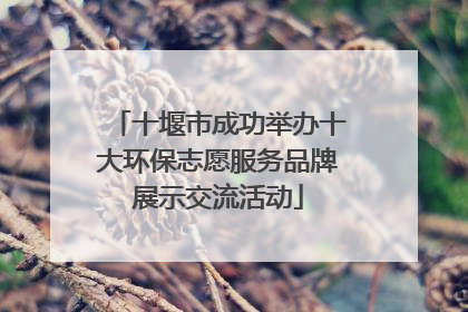 十堰市成功举办十大环保志愿服务品牌展示交流活动