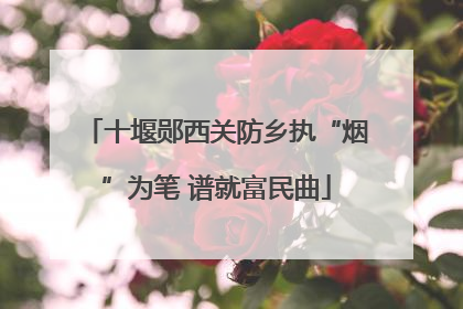 十堰郧西关防乡执“烟”为笔 谱就富民曲