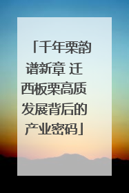 千年栗韵谱新章 迁西板栗高质发展背后的产业密码