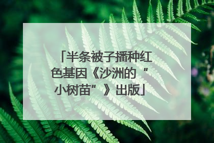 半条被子播种红色基因《沙洲的“小树苗”》出版