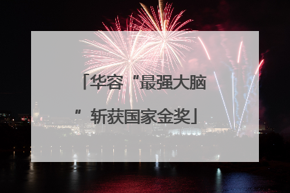 华容“最强大脑”斩获国家金奖