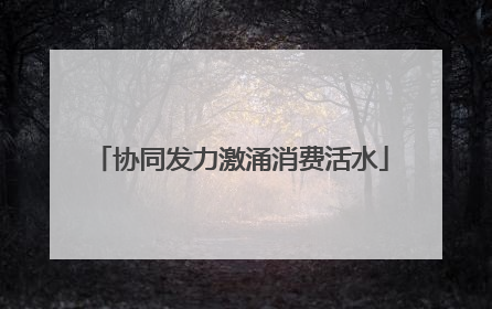 协同发力激涌消费活水