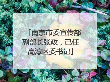 南京市委宣传部副部长张政，已任高淳区委书记