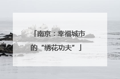 南京：幸福城市的“绣花功夫”