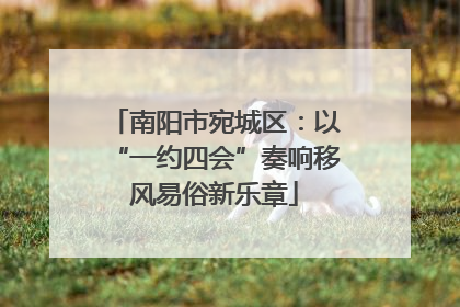 南阳市宛城区：以“一约四会”奏响移风易俗新乐章