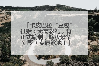 卡皮巴拉“豆包”征婚：无需彩礼，有正式编制，嫁妆豪华别墅＋专属泳池！