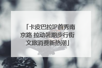 卡皮巴拉IP首秀南京路 拉动暑期步行街文旅消费新热潮