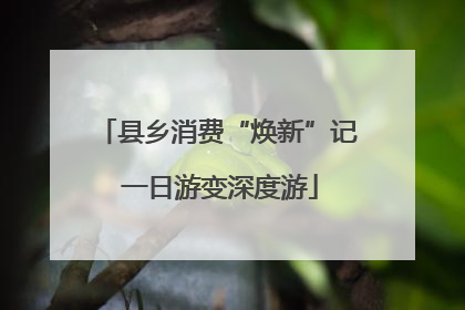 县乡消费“焕新”记 一日游变深度游