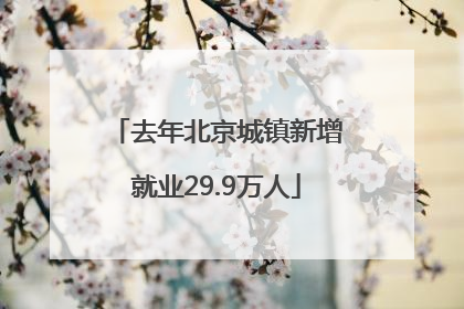 去年北京城镇新增就业29.9万人