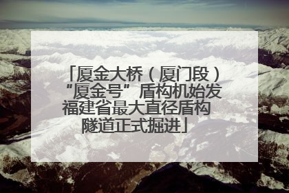 厦金大桥（厦门段）“厦金号”盾构机始发 福建省最大直径盾构隧道正式掘进