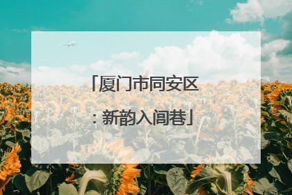 厦门市同安区：新韵入闾巷