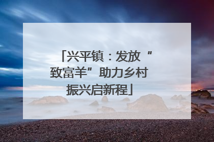 兴平镇：发放“致富羊”助力乡村振兴启新程