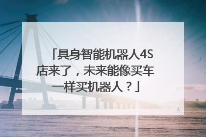 具身智能机器人4S店来了，未来能像买车一样买机器人？