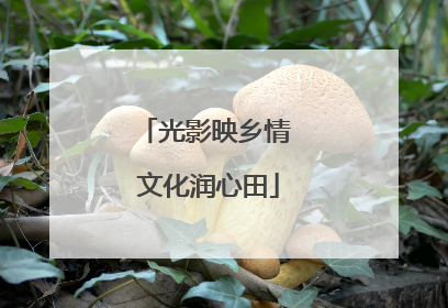 光影映乡情 文化润心田