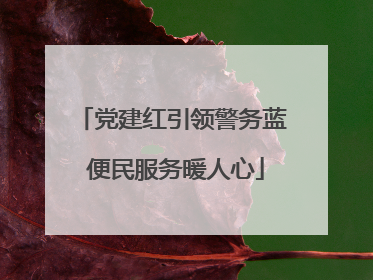 党建红引领警务蓝 便民服务暖人心